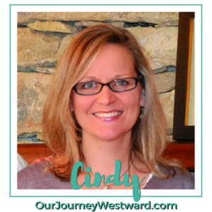 Blogging Tips From A Successful Blogger - An Interview With Cindy